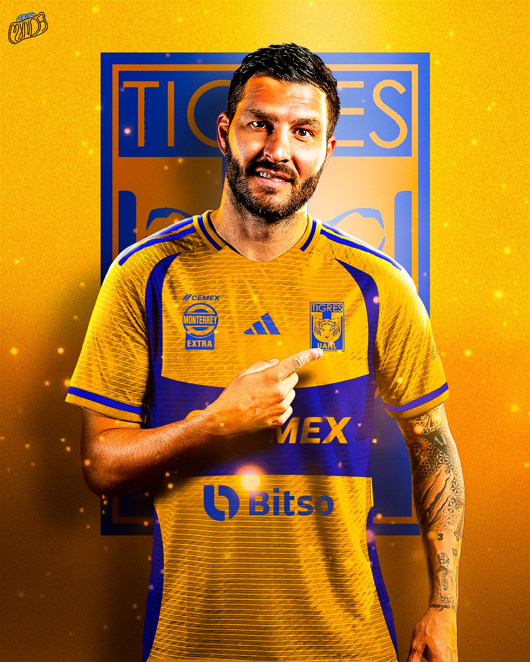 Tigres tiene nueva piel