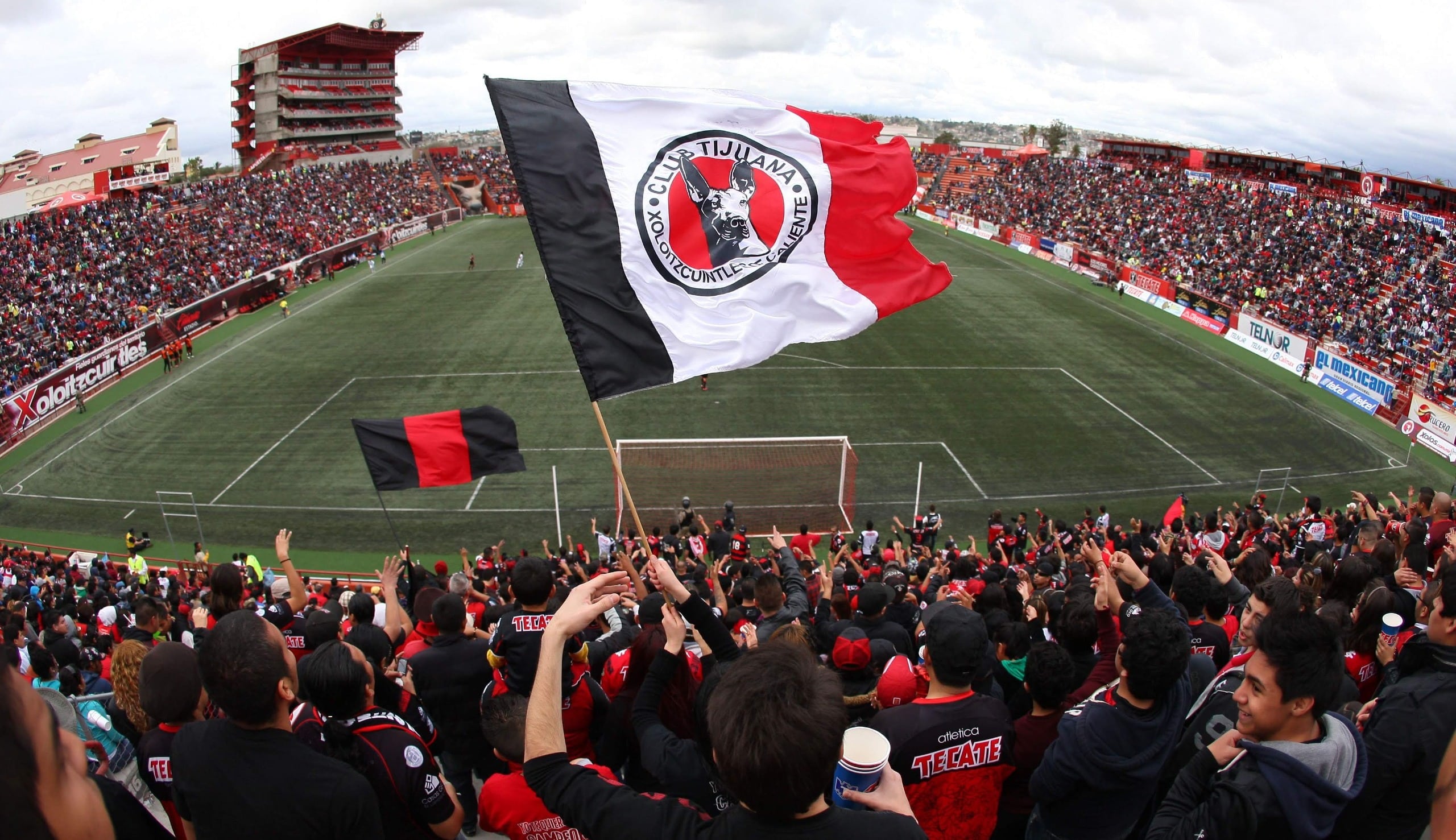 Xolos