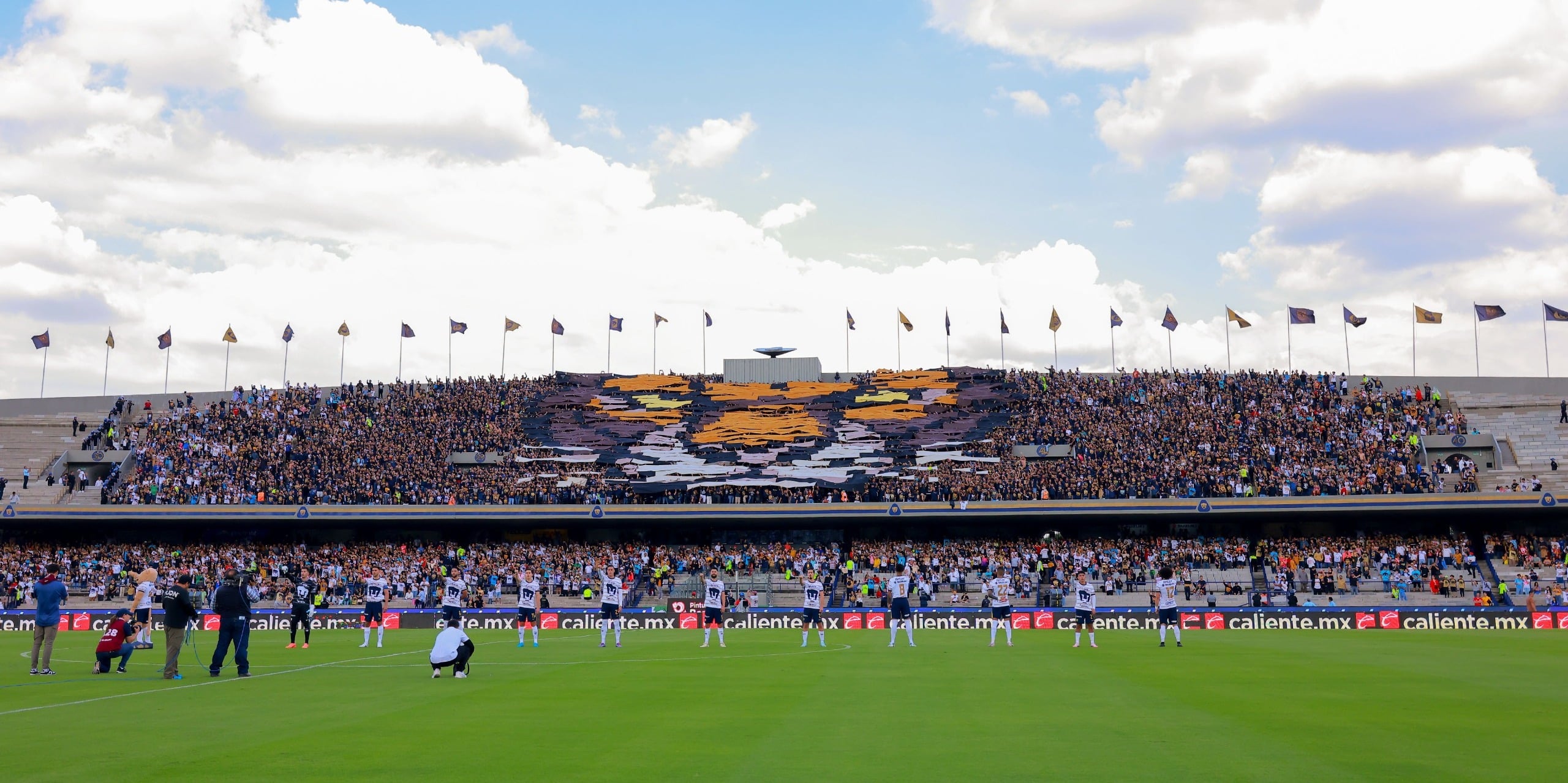 Pumas vs Gallos