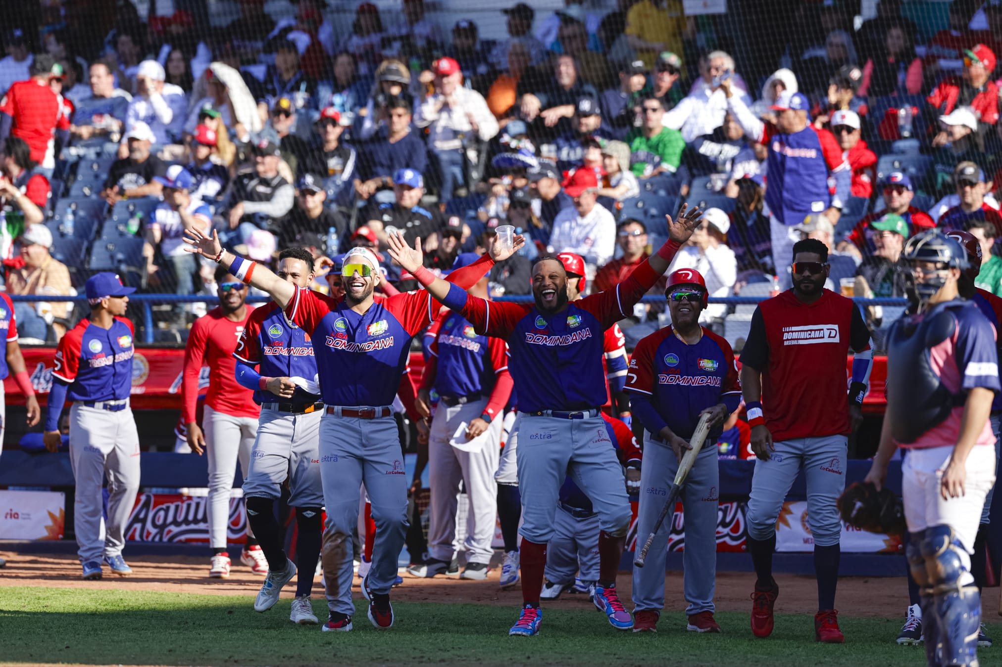 Dominicana se impuso ante Japón