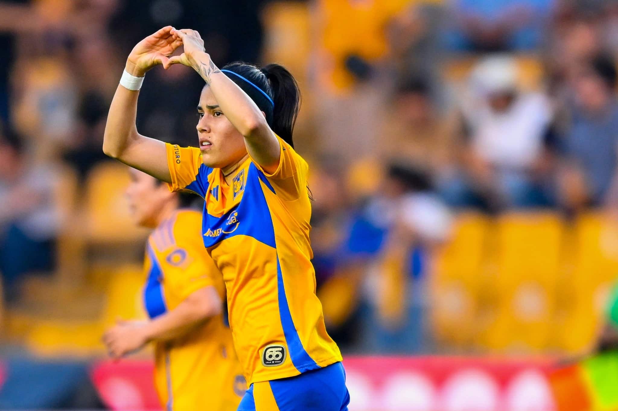 Tigres femenil