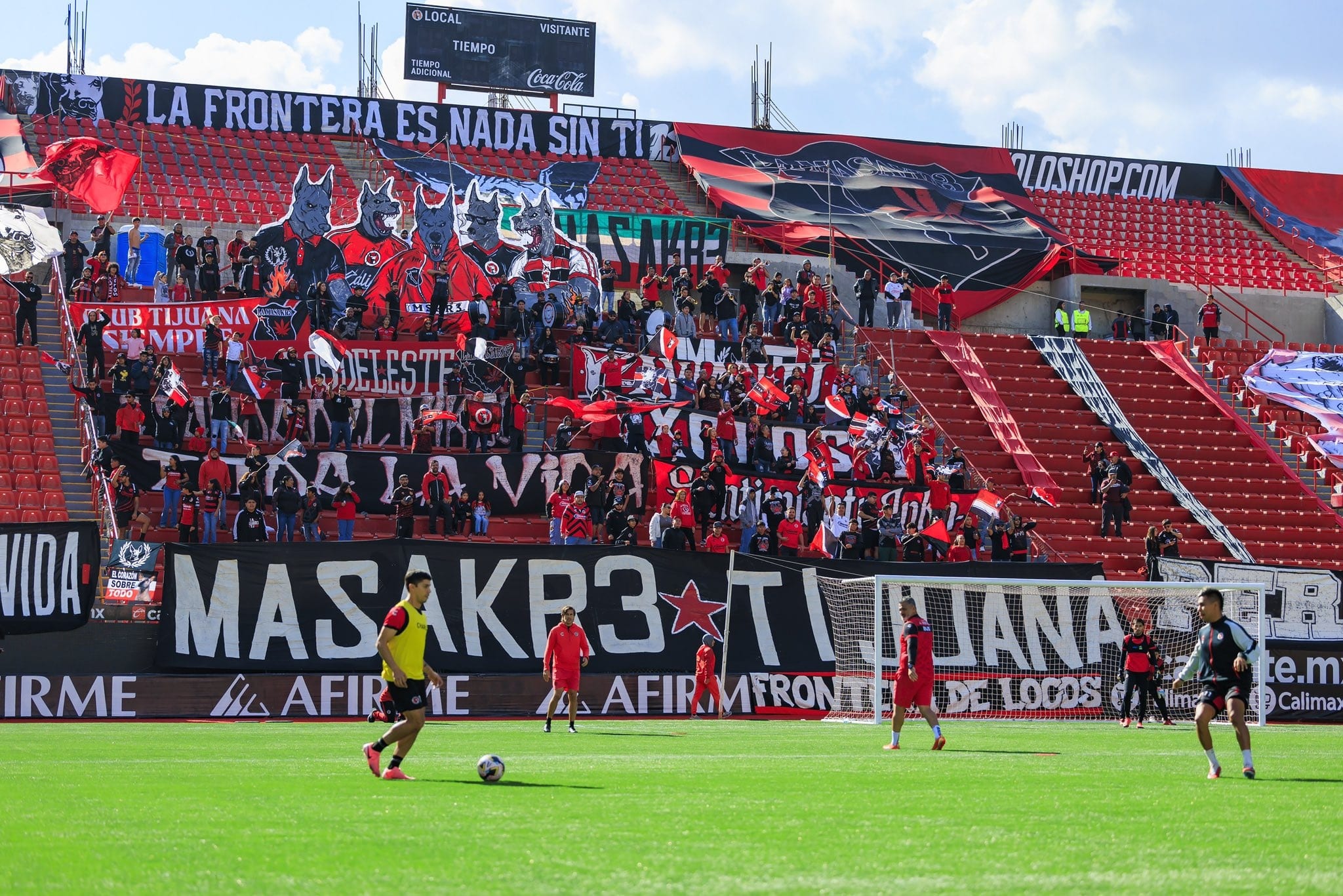 Xolos