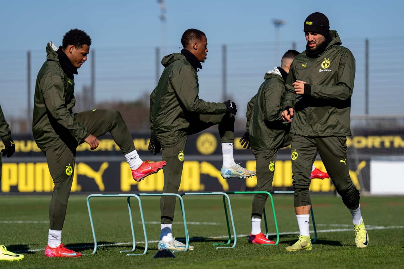 Borussia Dortmund vs LOSC Lille AYM Sports